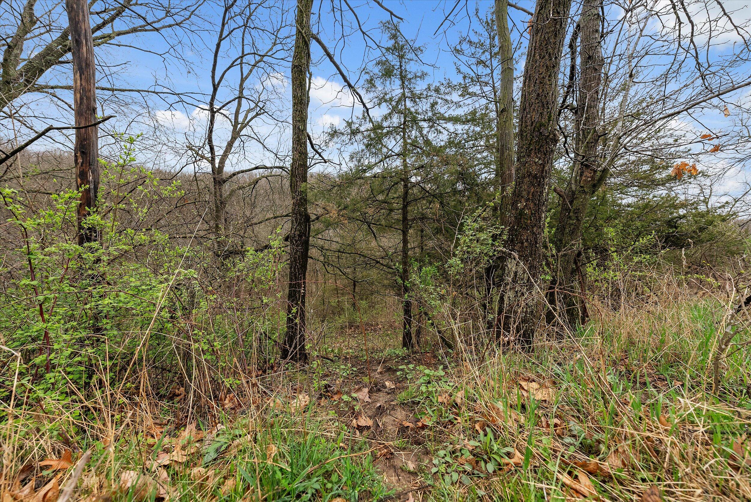 36480 Bouska Road Bridgeport, WI 53821 - Photo 15 of 87 Land