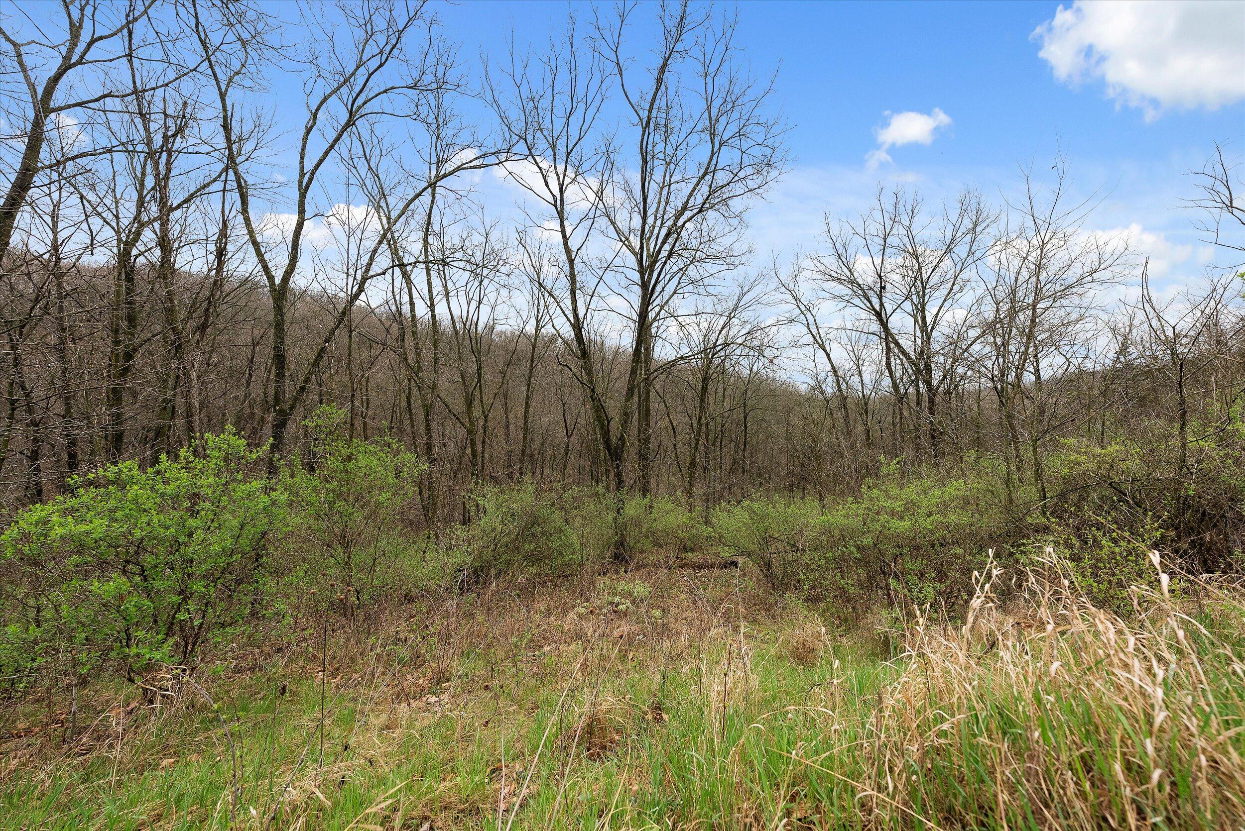 36480 Bouska Road Bridgeport, WI 53821 - Photo 16 of 87 Land