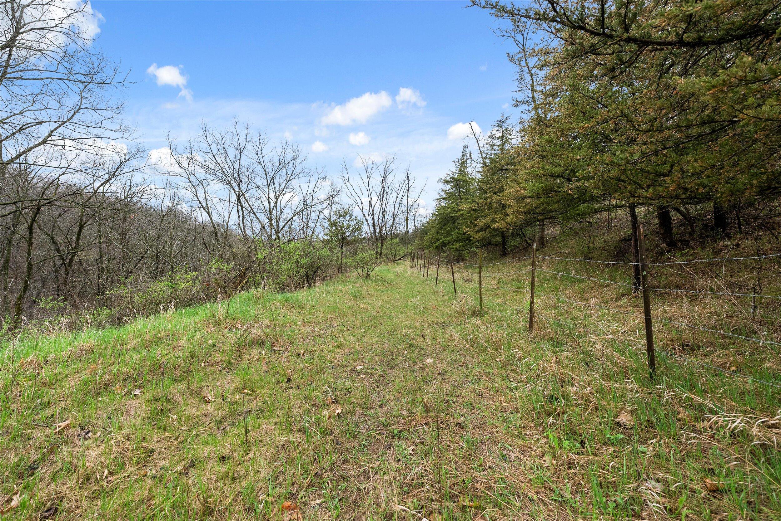 36480 Bouska Road Bridgeport, WI 53821 - Photo 17 of 87 Land