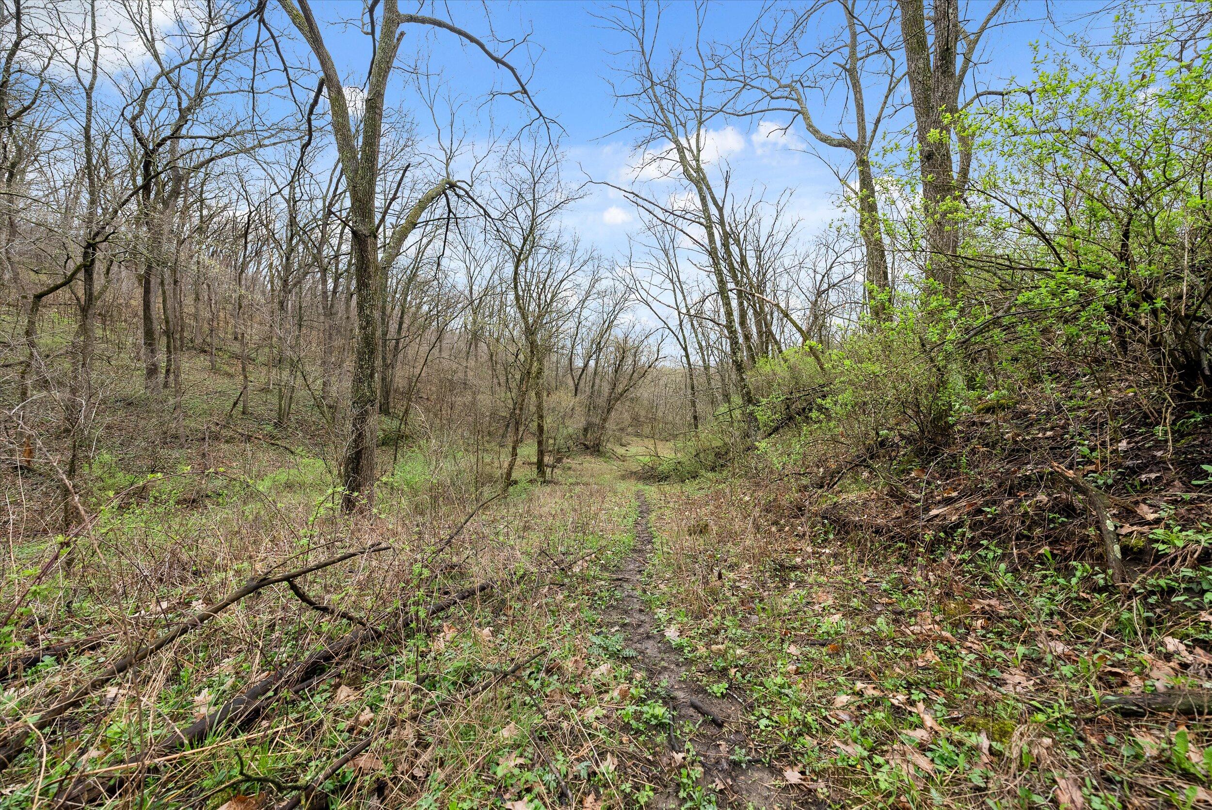 36480 Bouska Road Bridgeport, WI 53821 - Photo 19 of 87 Land