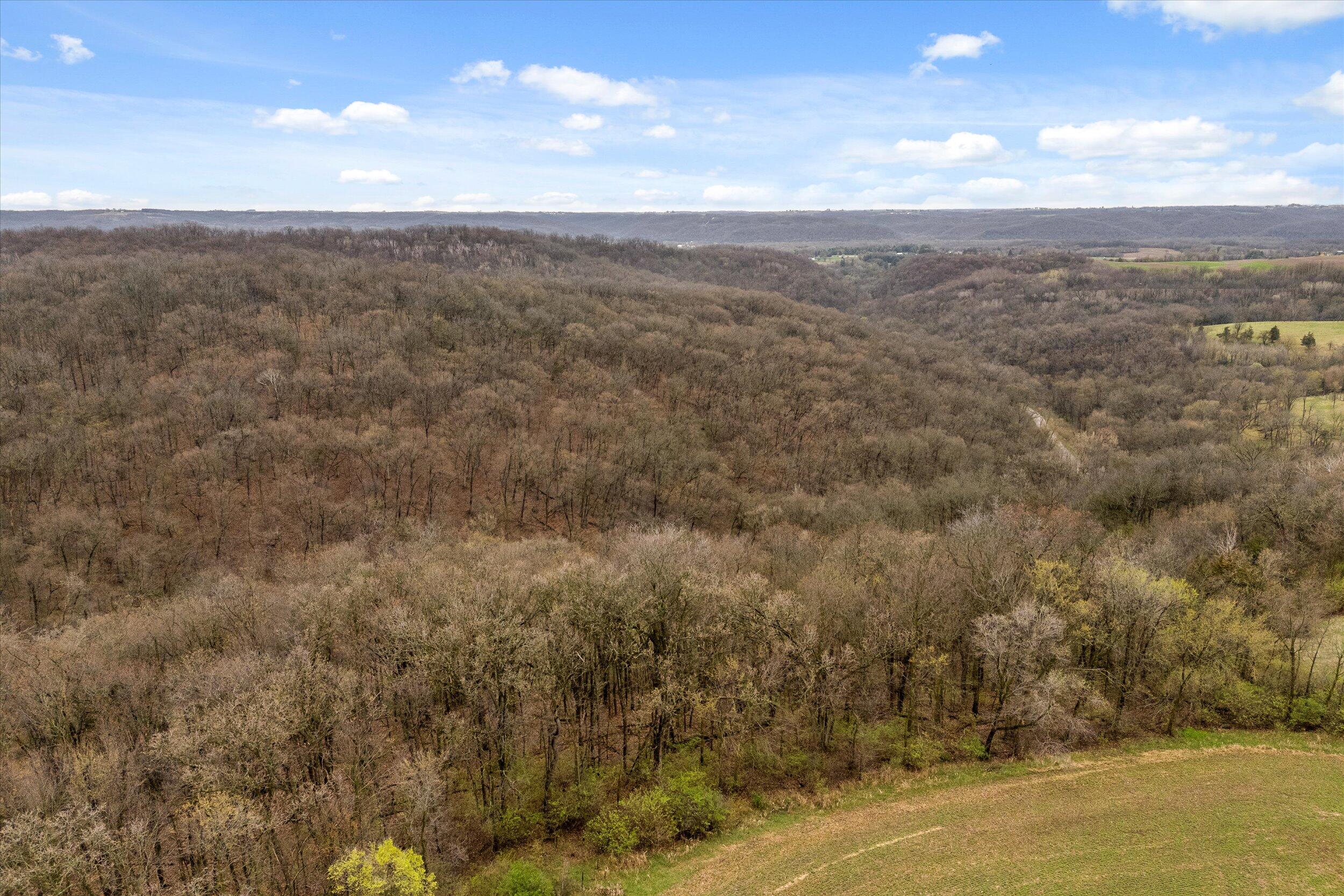 36480 Bouska Road Bridgeport, WI 53821 - Photo 24 of 87 Aerial