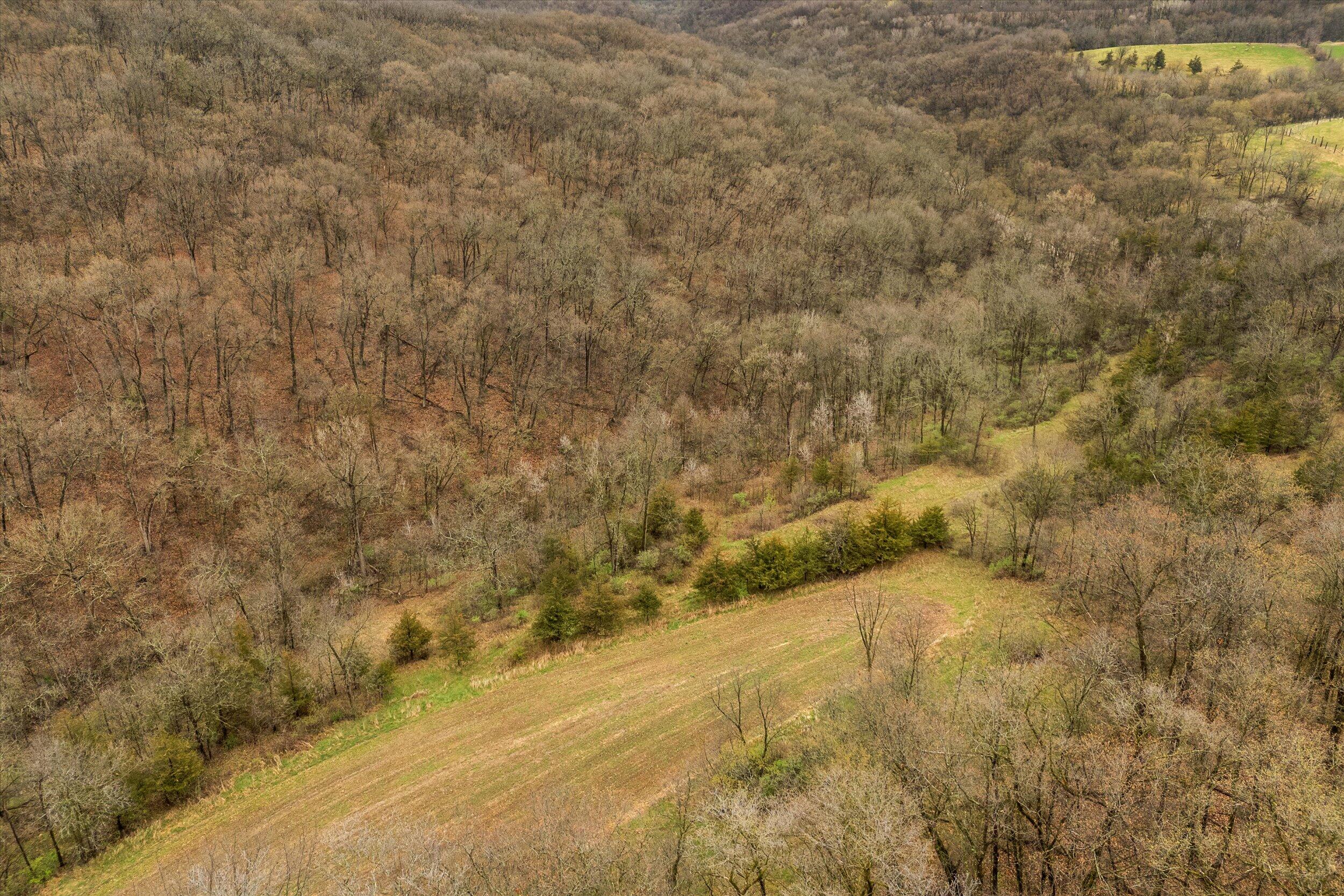 36480 Bouska Road Bridgeport, WI 53821 - Photo 25 of 87 Aerial