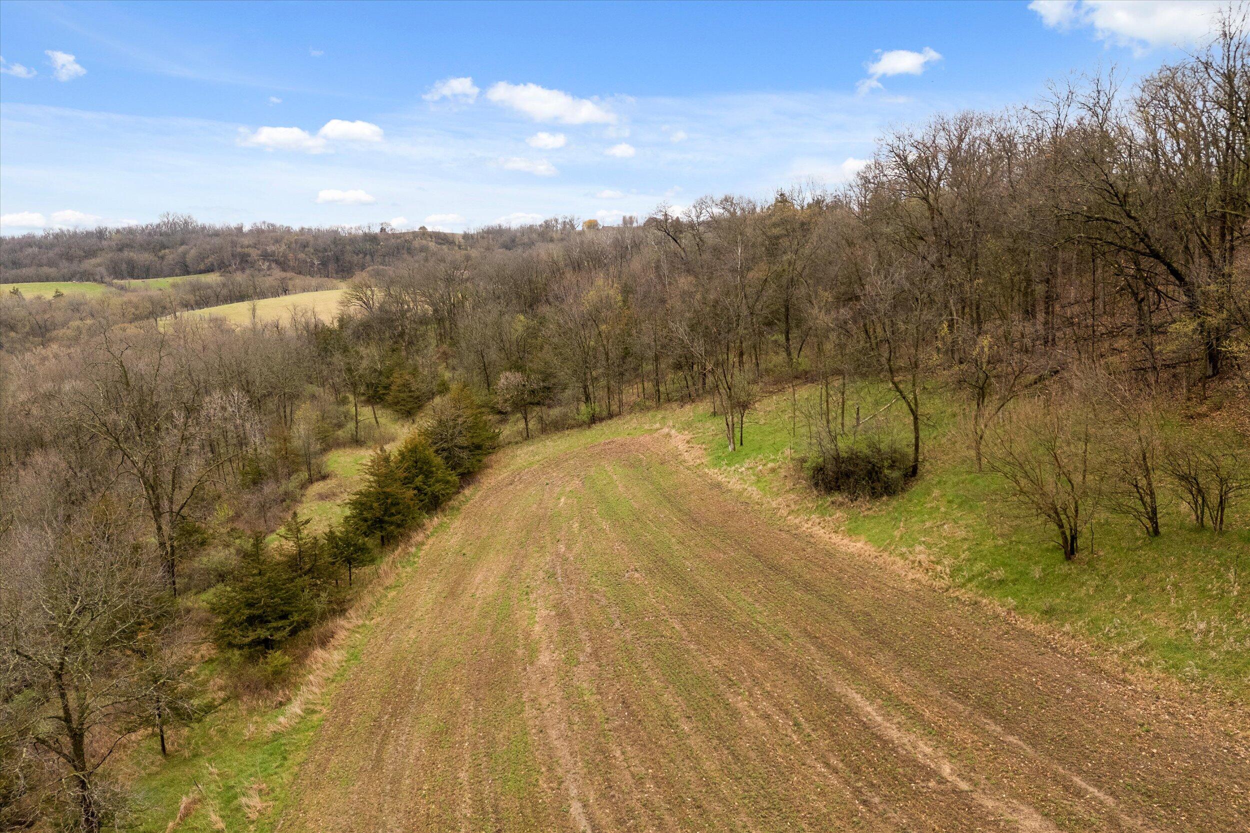 36480 Bouska Road Bridgeport, WI 53821 - Photo 27 of 87 Crop Land