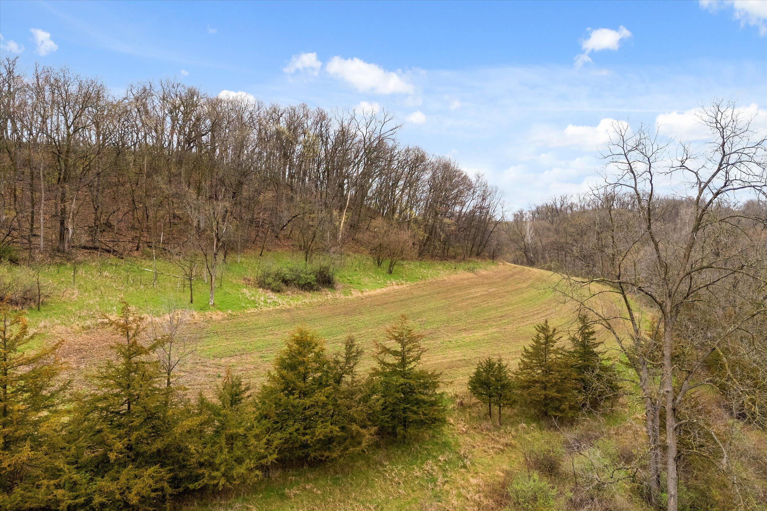36480 Bouska Road Bridgeport, WI 53821 - Photo 30 of 87 Crop Land