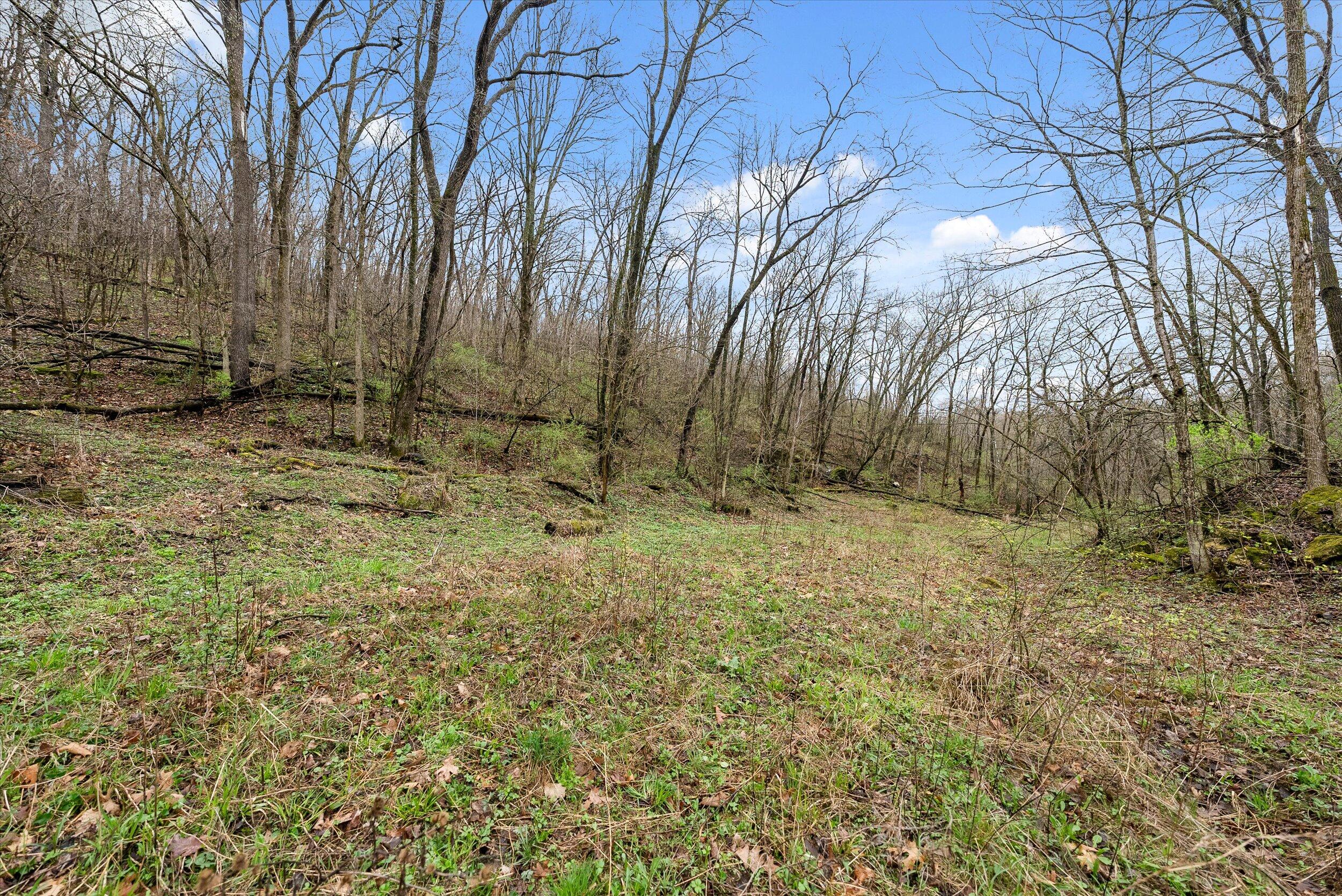 36480 Bouska Road Bridgeport, WI 53821 - Photo 31 of 87 Land
