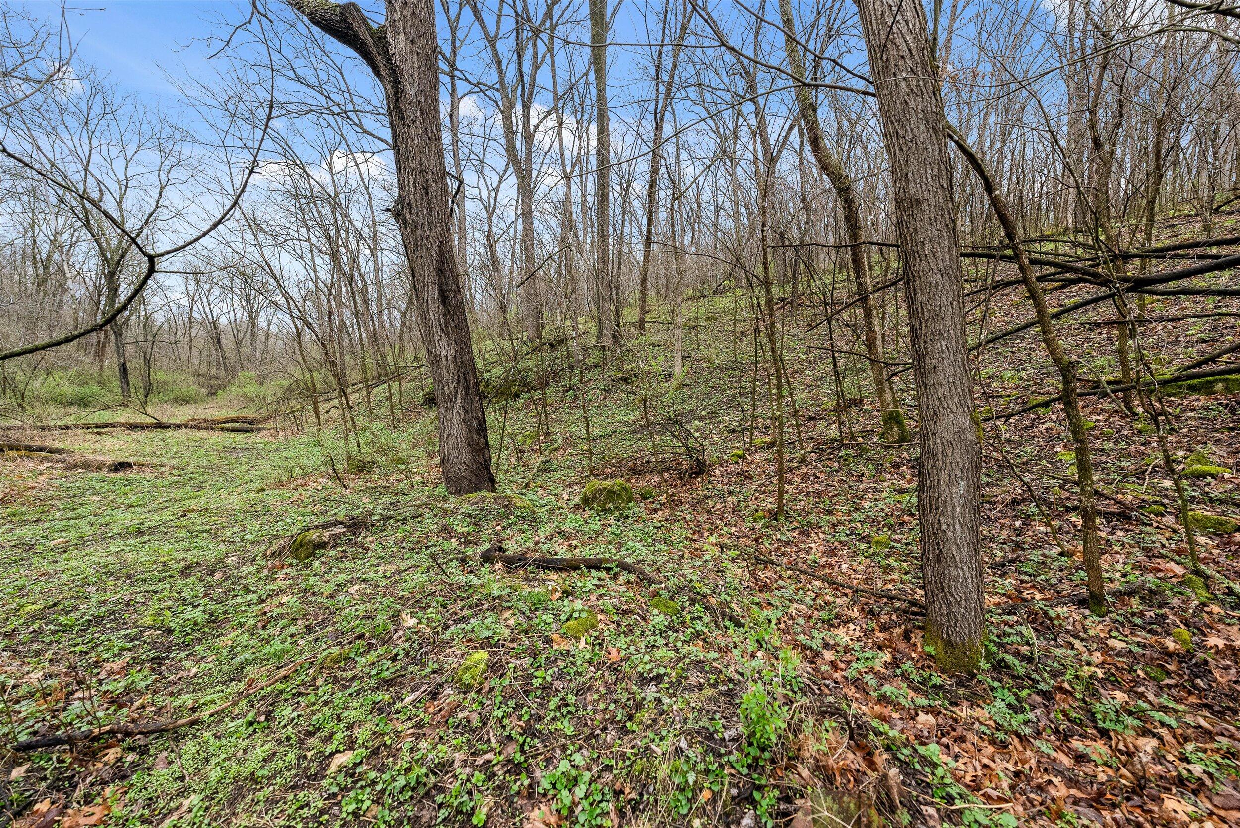 36480 Bouska Road Bridgeport, WI 53821 - Photo 32 of 87 Land