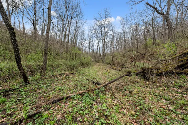 $1,600,000 | 36480 Bouska Road, Prairie du Chien, WI 53821