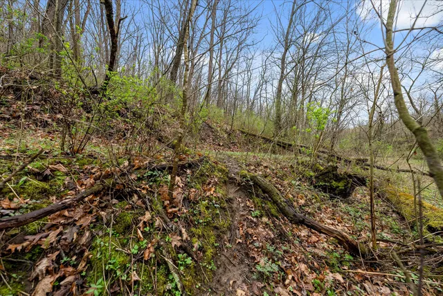 $1,600,000 | 36480 Bouska Road, Prairie du Chien, WI 53821