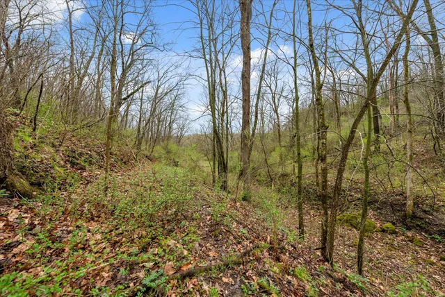 $1,600,000 | 36480 Bouska Road, Prairie du Chien, WI 53821