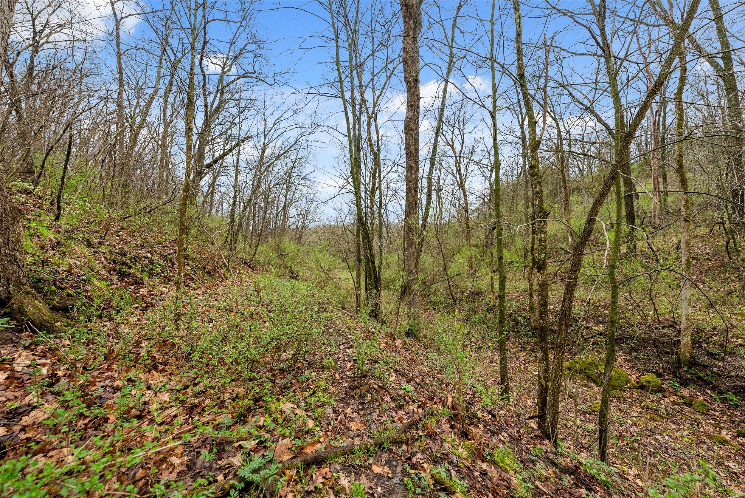 36480 Bouska Road Bridgeport, WI 53821 - Photo 35 of 87 Land