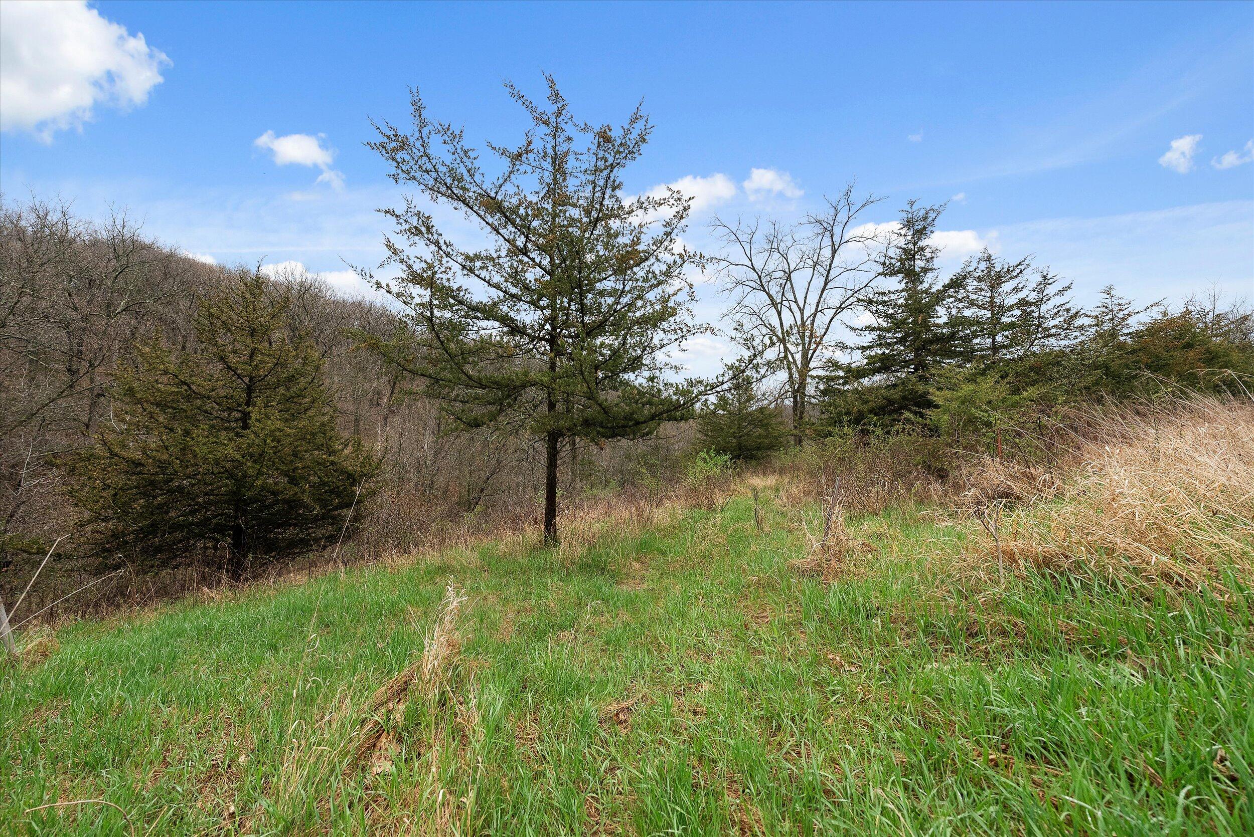 36480 Bouska Road Bridgeport, WI 53821 - Photo 36 of 87 Land