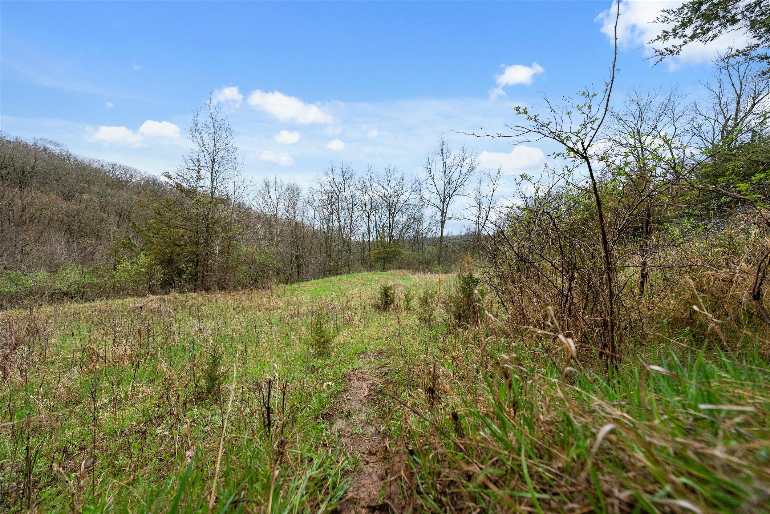 36480 Bouska Road Bridgeport, WI 53821 - Photo 37 of 87 Land