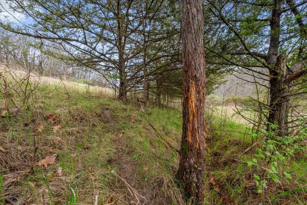 $1,600,000 | 36480 Bouska Road, Bridgeport, WI 53821
