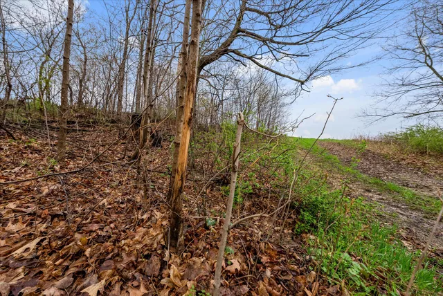 $1,600,000 | 36480 Bouska Road, Prairie du Chien, WI 53821