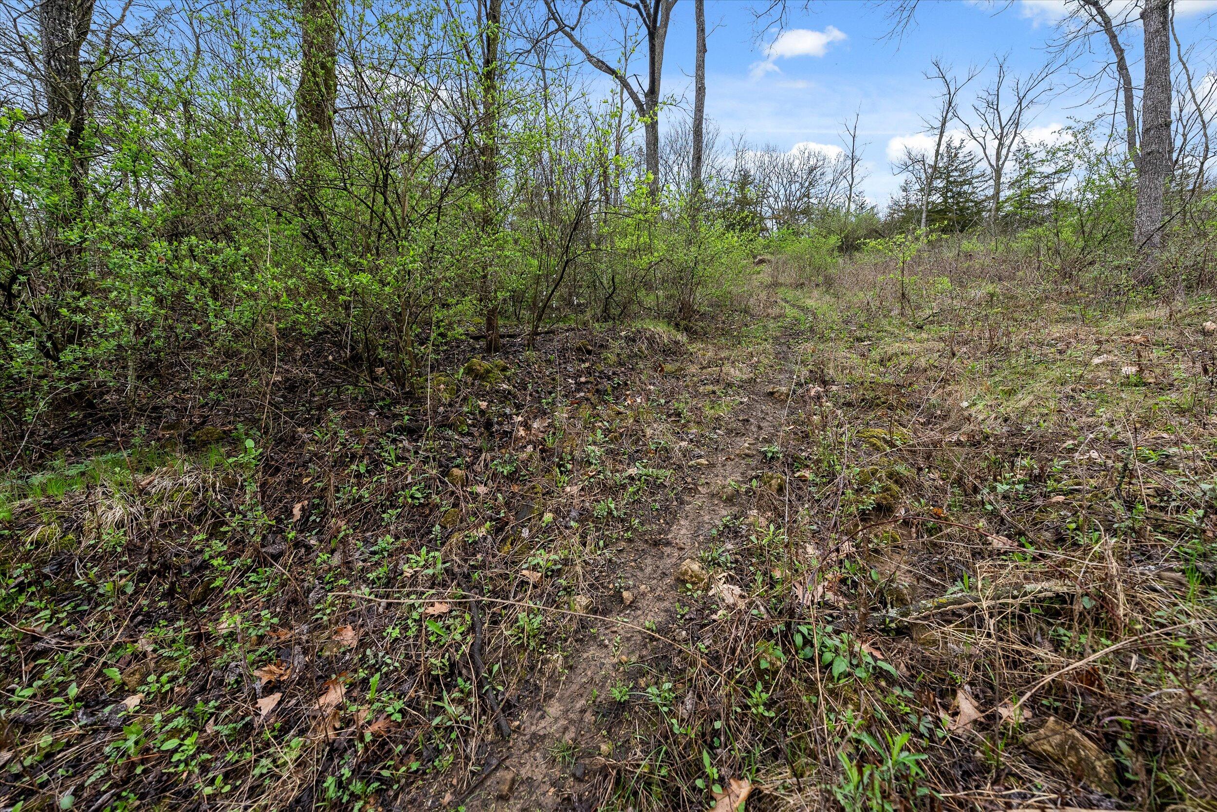 36480 Bouska Road Bridgeport, WI 53821 - Photo 45 of 87 Deer Sign