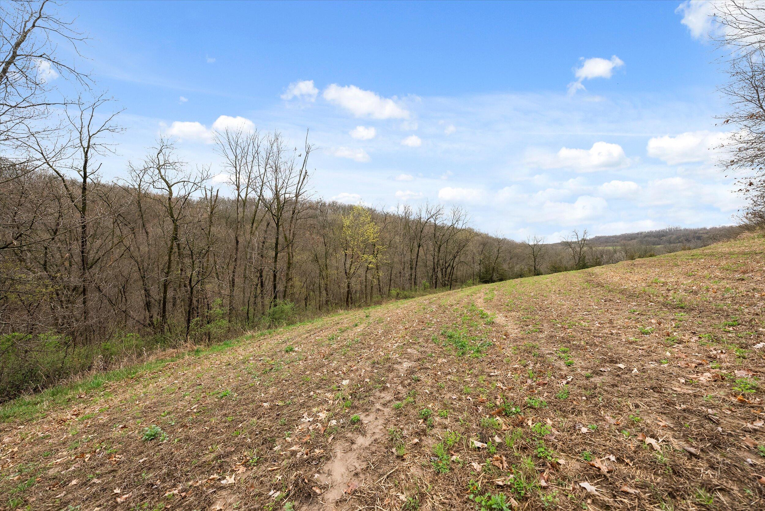 36480 Bouska Road Bridgeport, WI 53821 - Photo 46 of 87 Crop Land