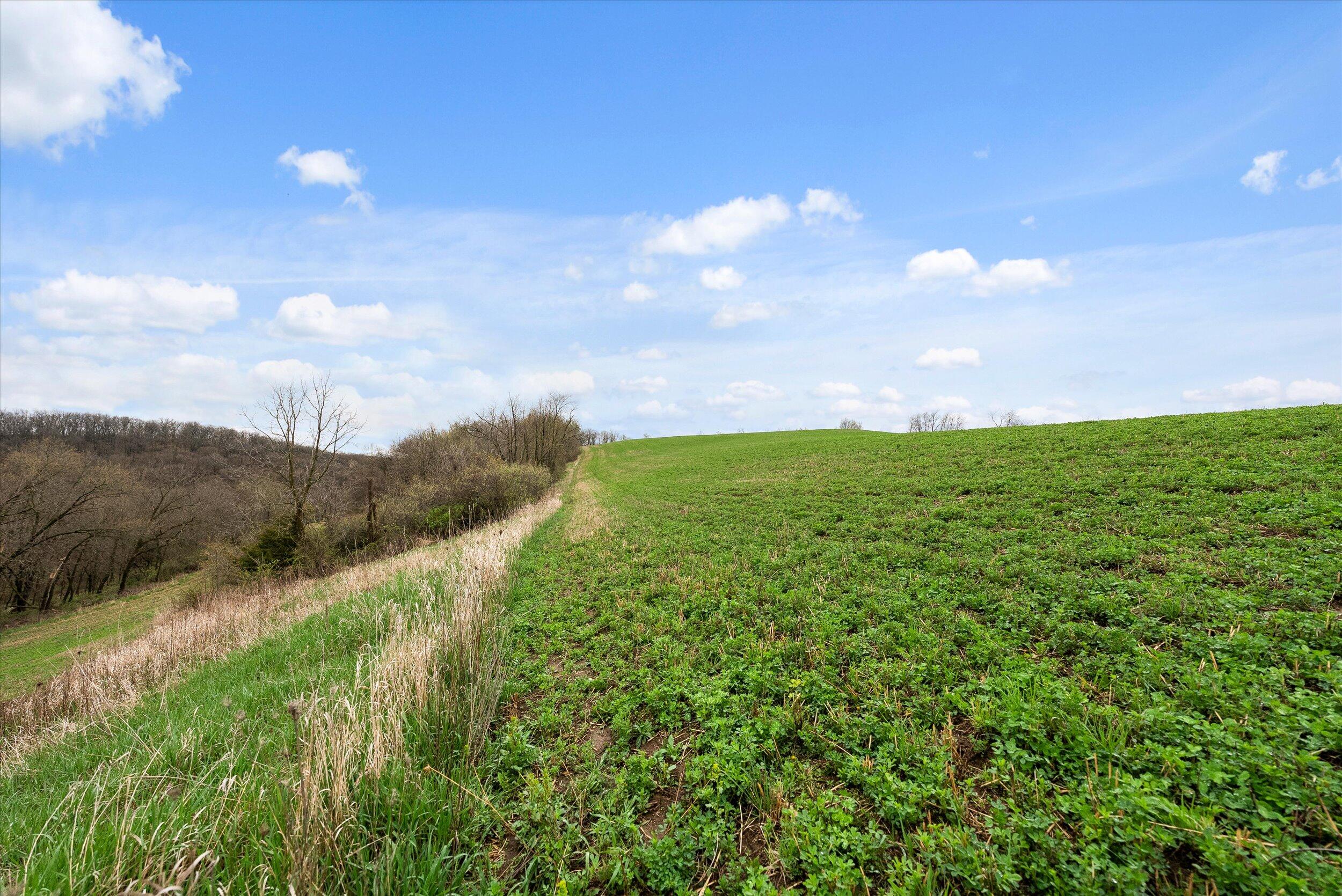 36480 Bouska Road Bridgeport, WI 53821 - Photo 47 of 87 Crop Land