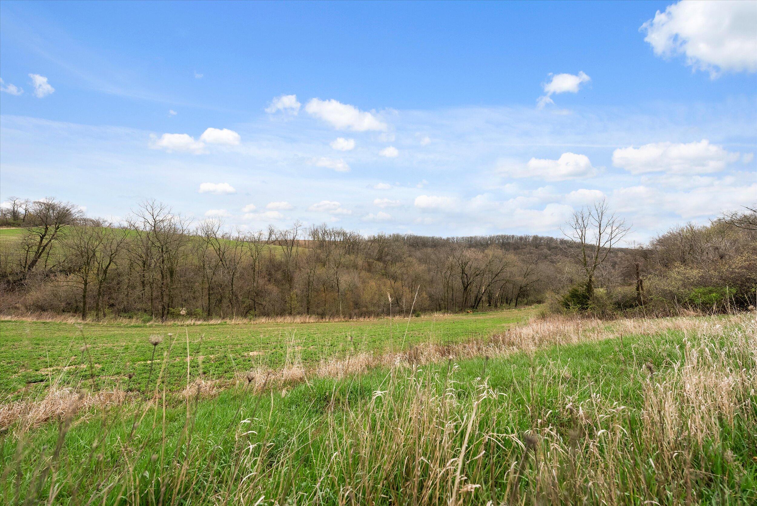 36480 Bouska Road Bridgeport, WI 53821 - Photo 48 of 87 Crop Land