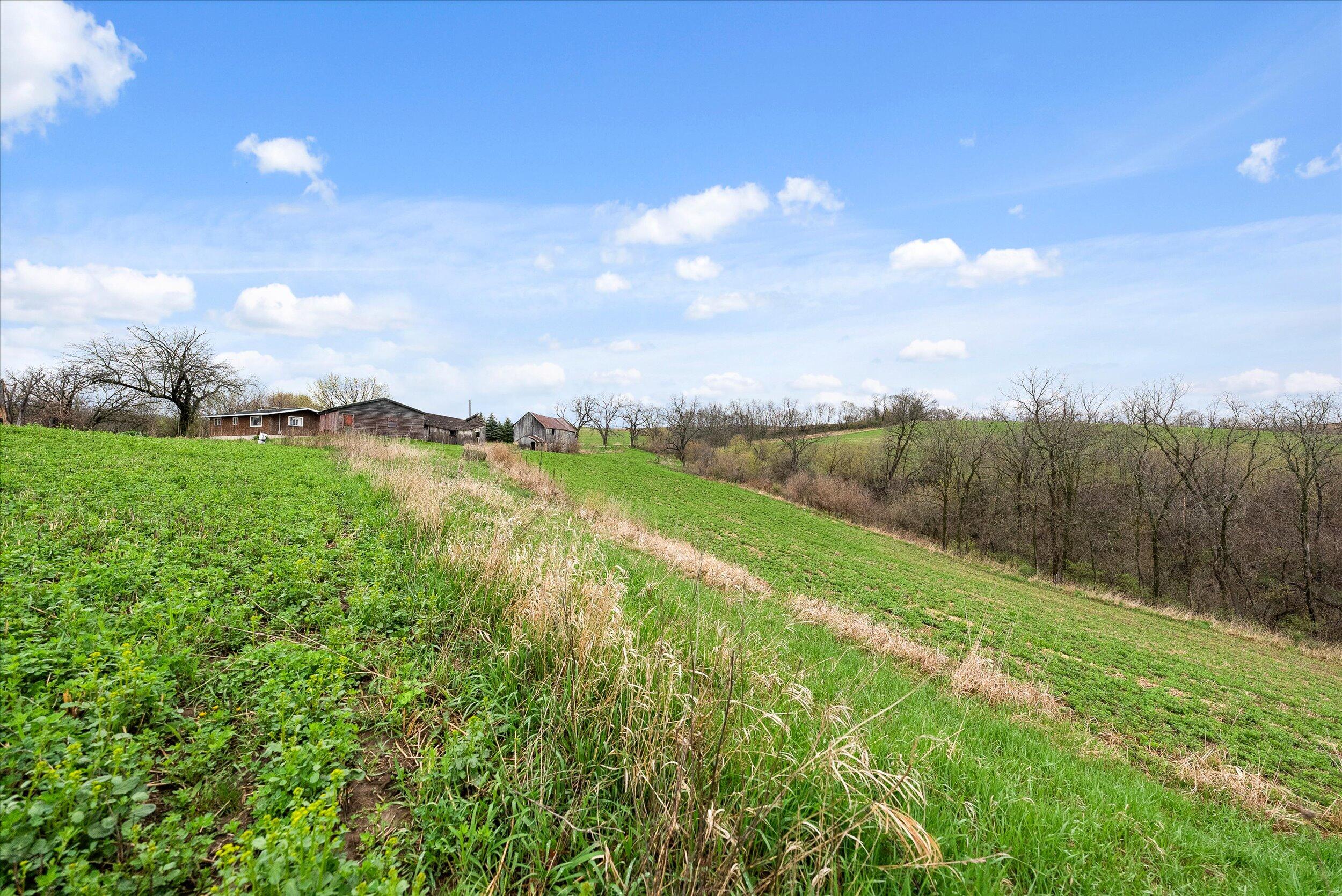 36480 Bouska Road Bridgeport, WI 53821 - Photo 49 of 87 Crop Land