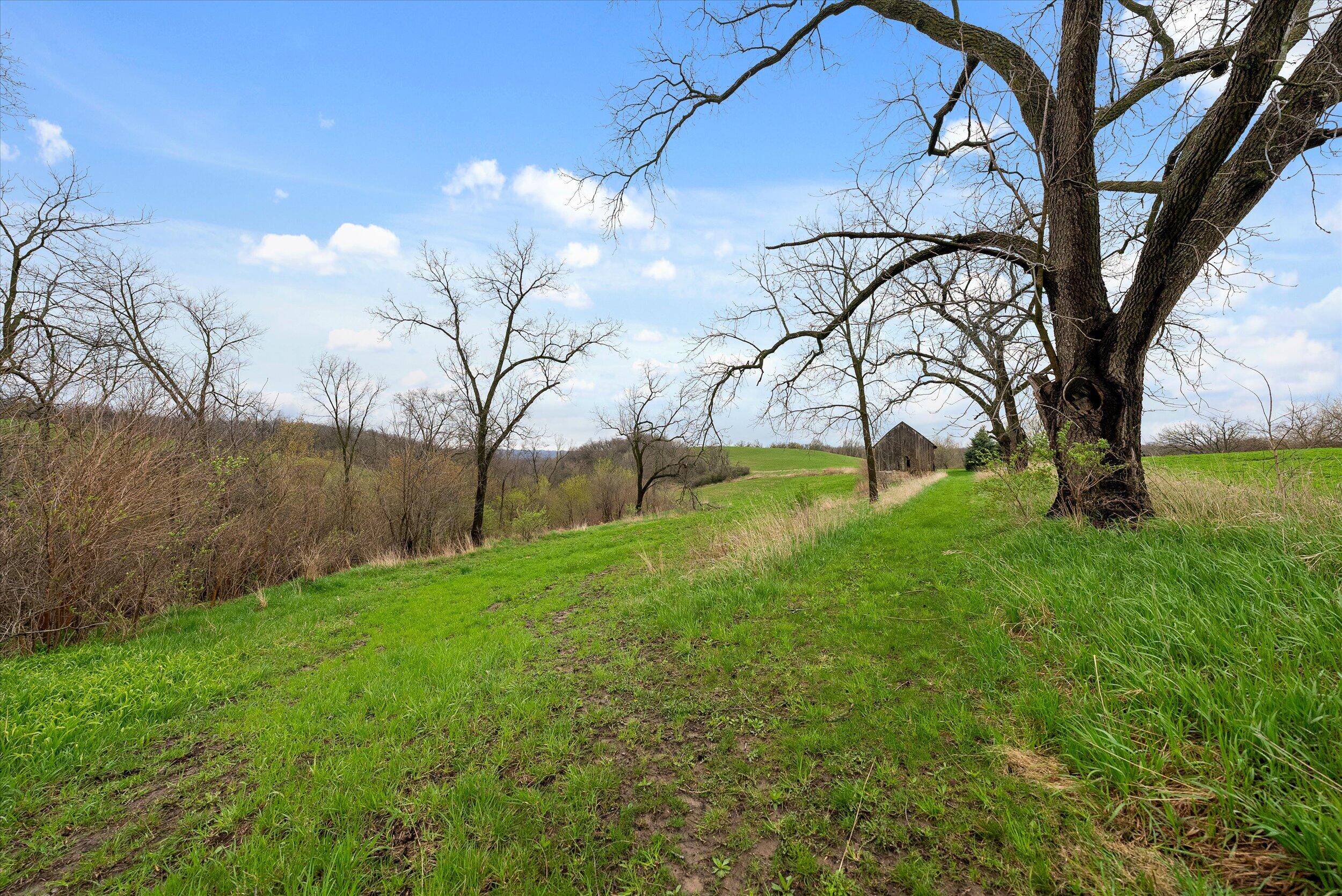 36480 Bouska Road Bridgeport, WI 53821 - Photo 50 of 87 Land