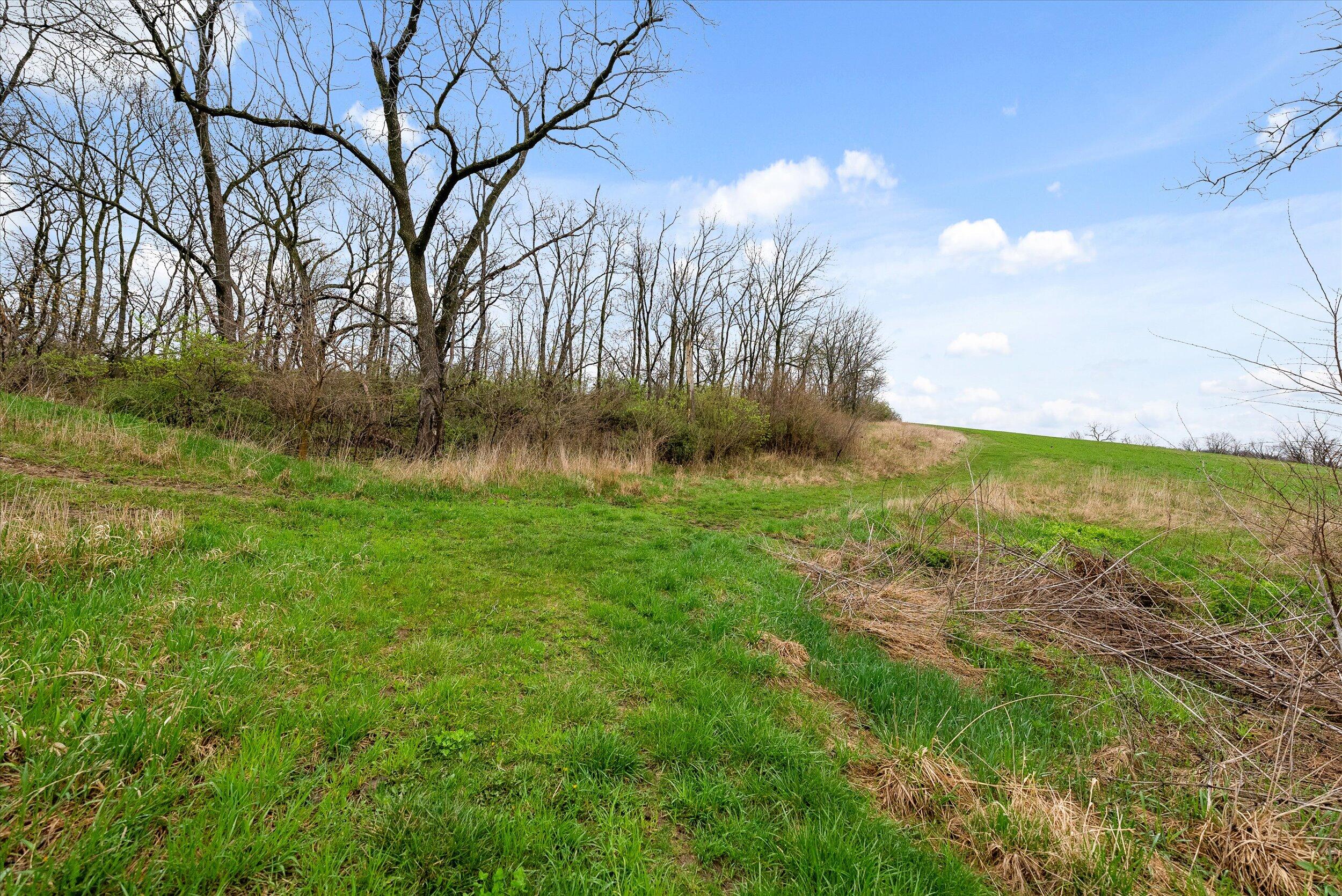 36480 Bouska Road Bridgeport, WI 53821 - Photo 51 of 87 Land