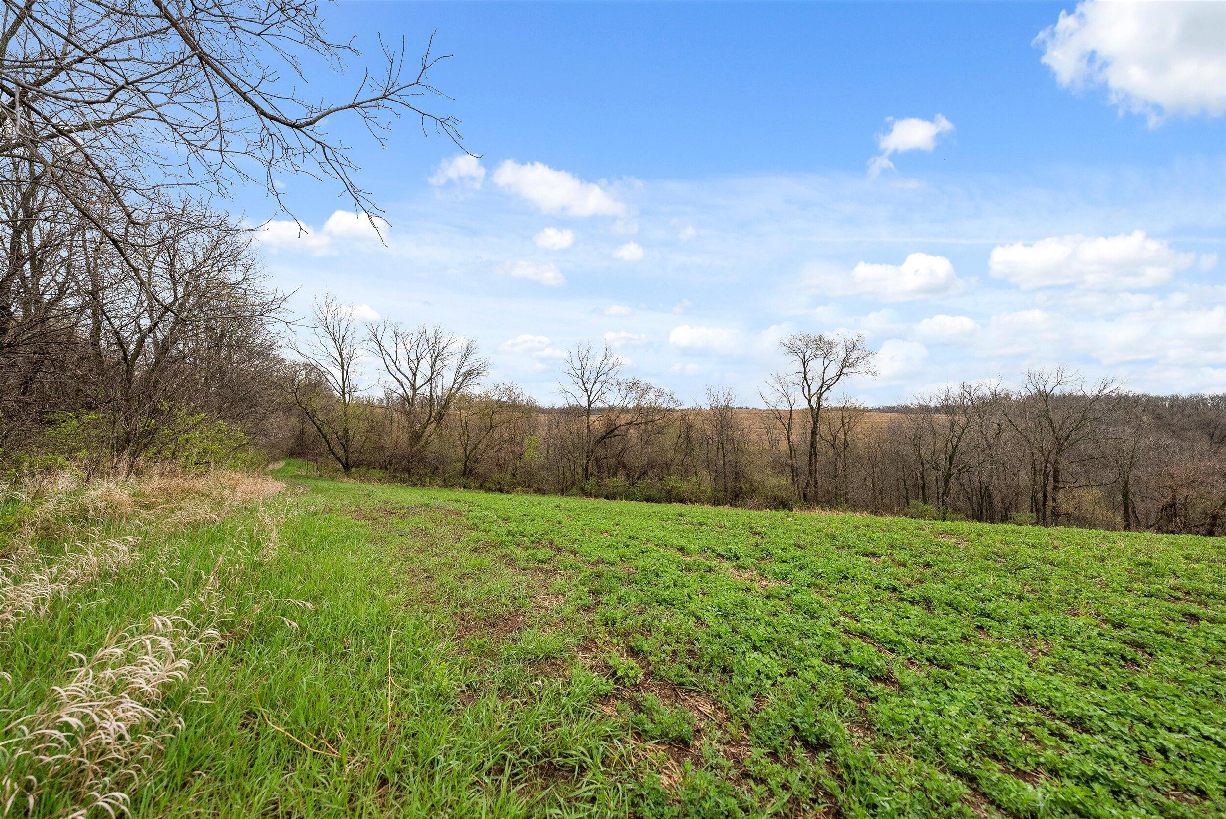 36480 Bouska Road Bridgeport, WI 53821 - Photo 52 of 87 Crop Land