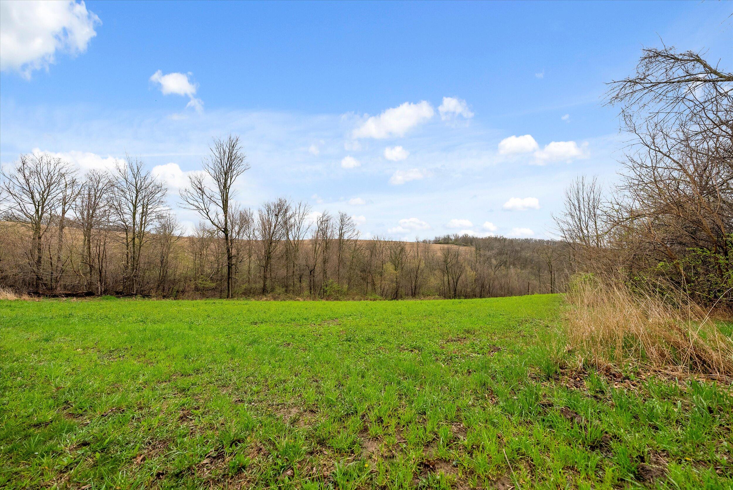 36480 Bouska Road Bridgeport, WI 53821 - Photo 53 of 87 Crop Land
