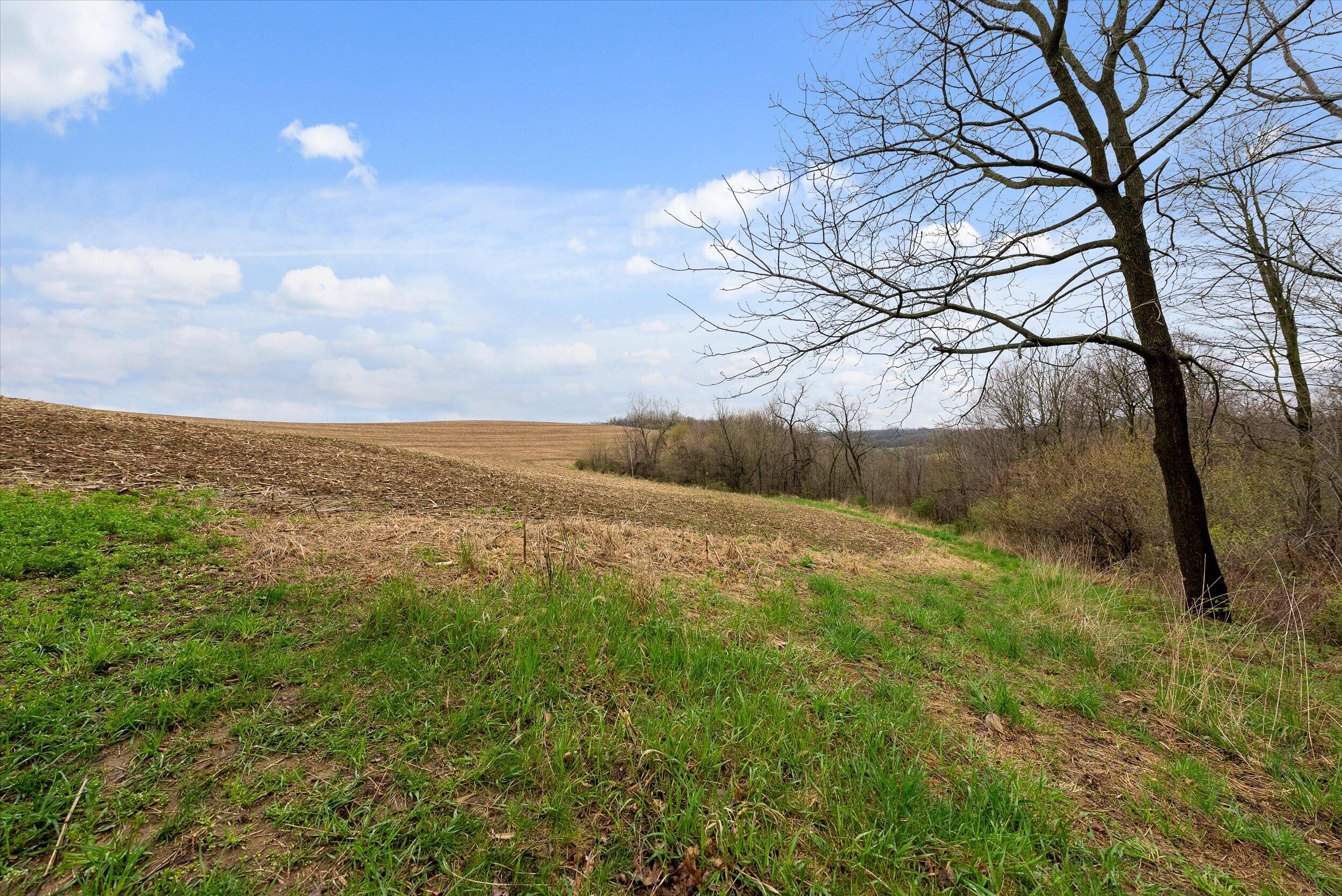 36480 Bouska Road Bridgeport, WI 53821 - Photo 55 of 87 Crop Land