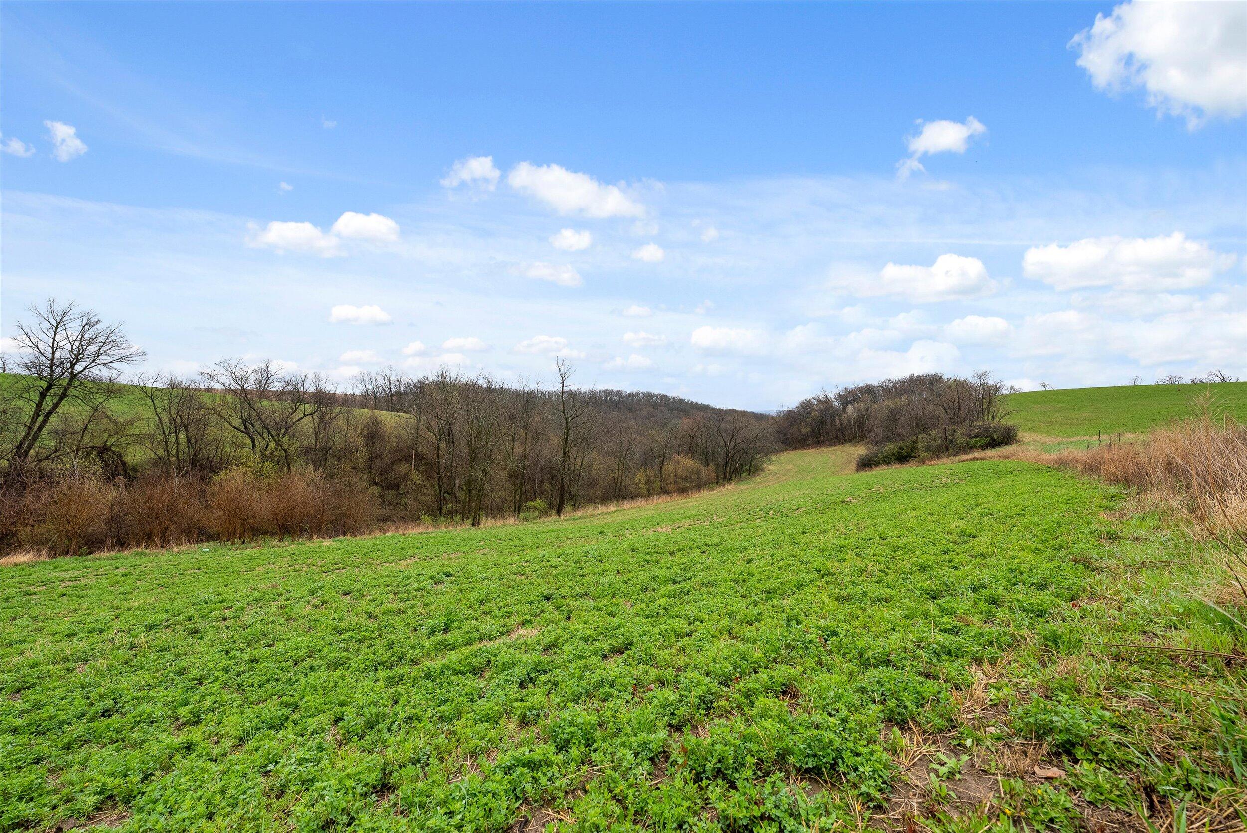 36480 Bouska Road Bridgeport, WI 53821 - Photo 61 of 87 Crop Land