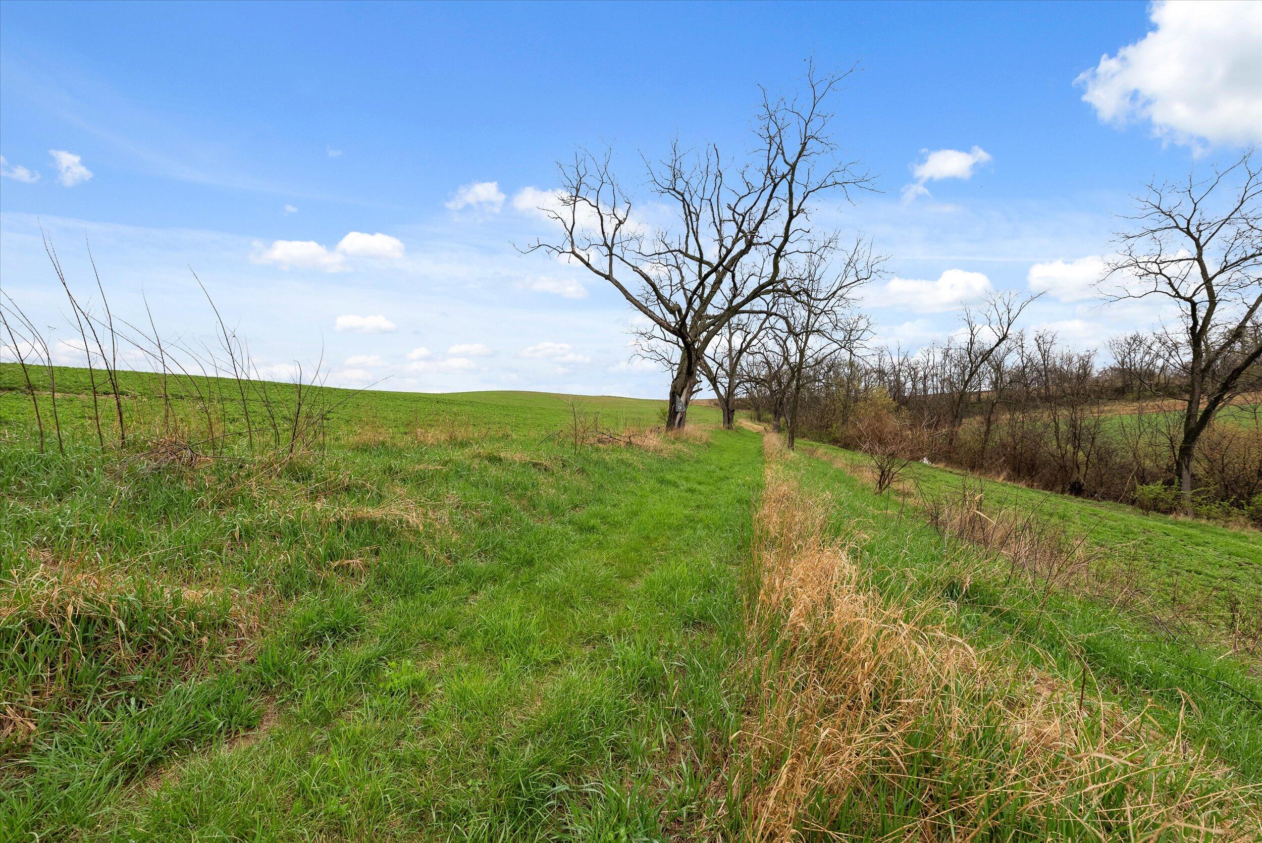 36480 Bouska Road Bridgeport, WI 53821 - Photo 64 of 87 Land