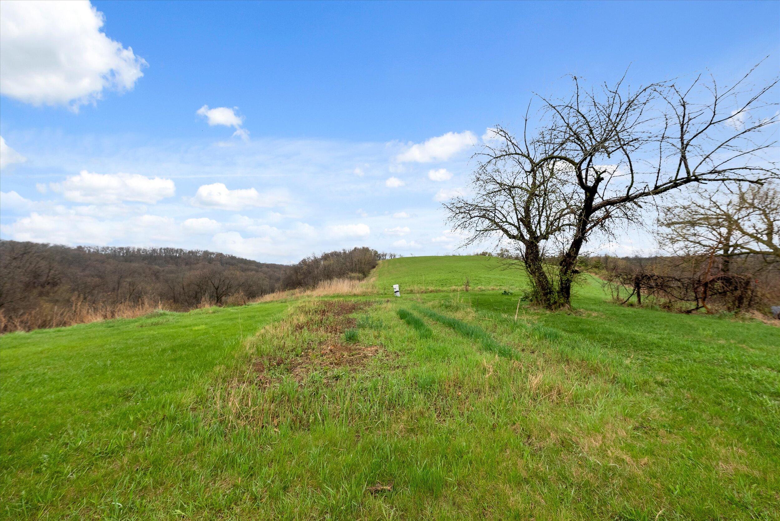 36480 Bouska Road Bridgeport, WI 53821 - Photo 67 of 87 Land