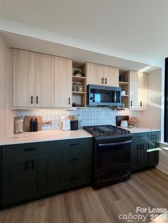 $3,997 | 124 East Kingston Avenue, Unit C1B, Charlotte, NC 28203