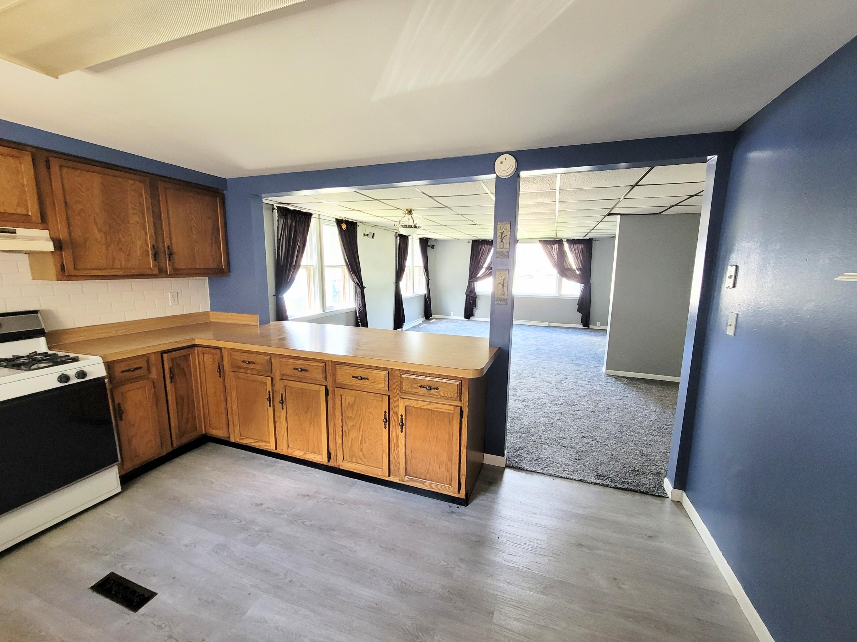 317 West Hanover Street Marshall, MI 49068 - Photo 4 of 16 20210701_144326_2