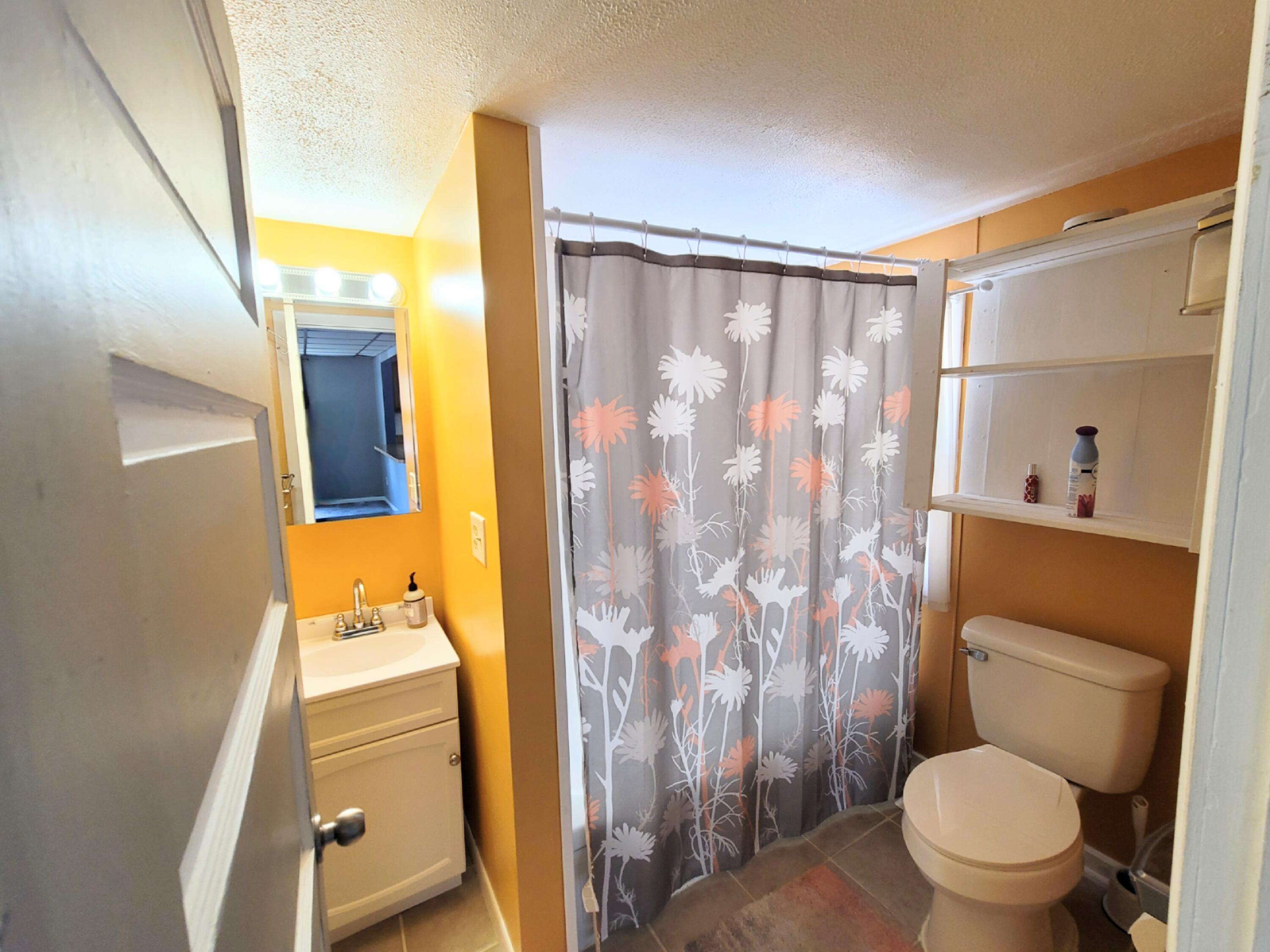 317 West Hanover Street Marshall, MI 49068 - Photo 7 of 16 20210701_144909_2