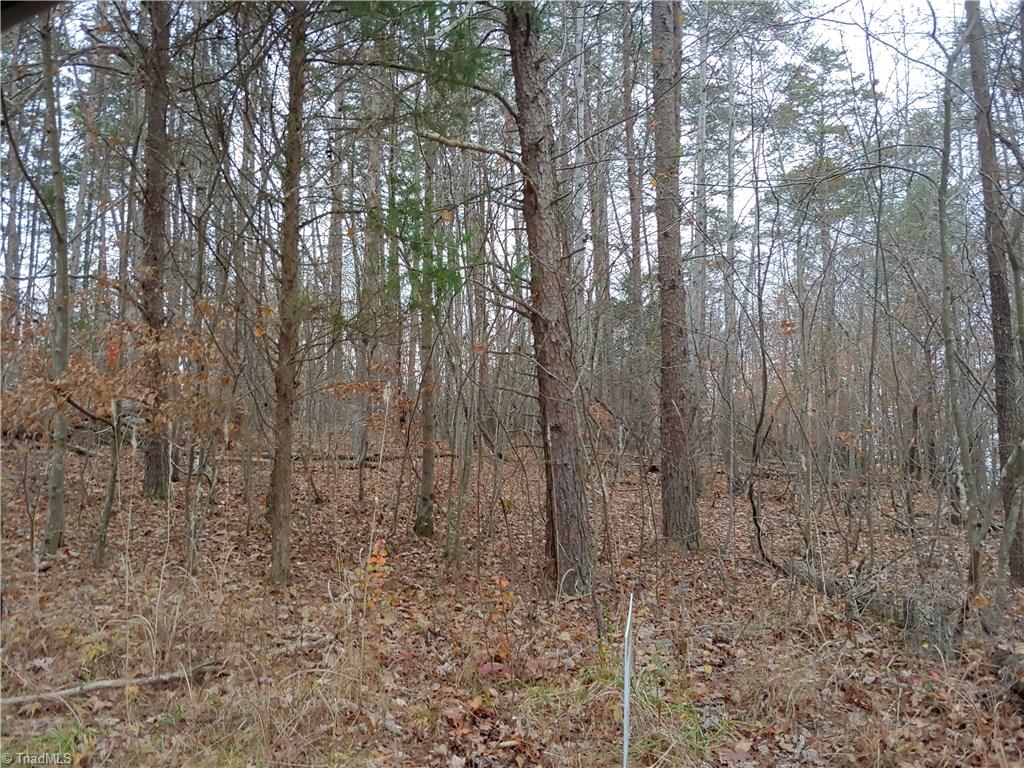 1 South Friendship Road Germanton, NC 27019 - Photo 1 of 2