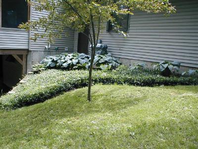 3087 Runkle Street Niles, MI 49120 - Photo 8 of 13 Additional Photo
