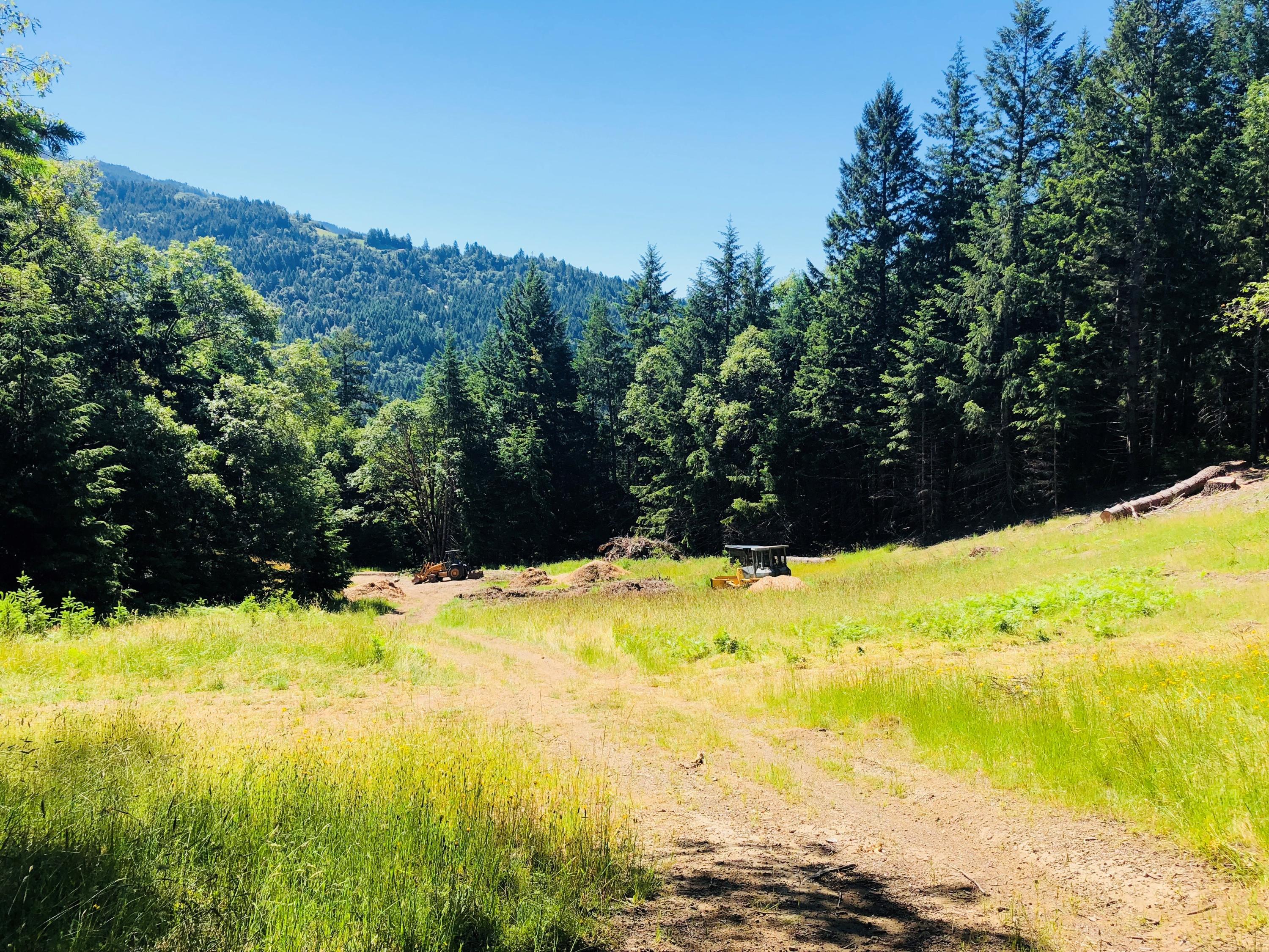 160-acres Saber Tooth Road Blue Lake, CA 95525 - Photo 1 of 1