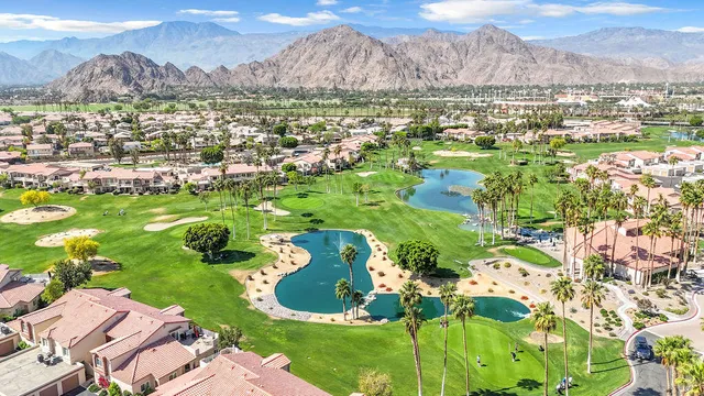 a picture of flowers