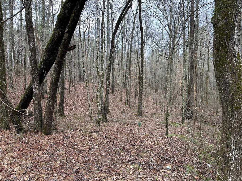 0 County Road 59 Heflin, AL 36264 - Photo 3 of 5 a backyard of a house with lots of green space