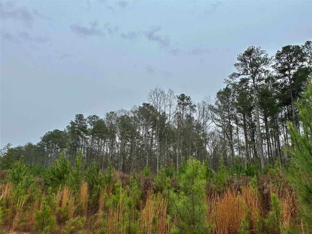0 County Road 59 Heflin, AL 36264 - Photo 5 of 5 a view of a field with a tree