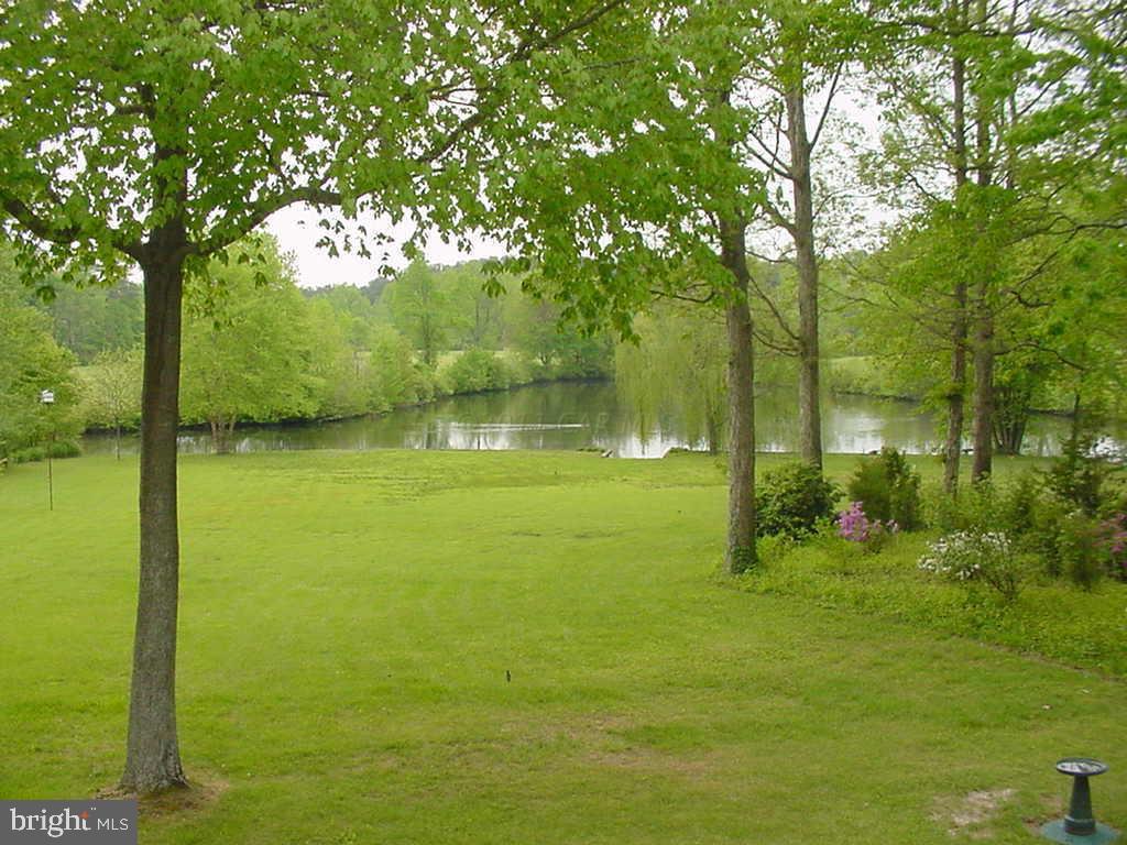 29825 Jackson Road Salisbury, MD 21804 - Photo 2 of 25 Gallery Image 2