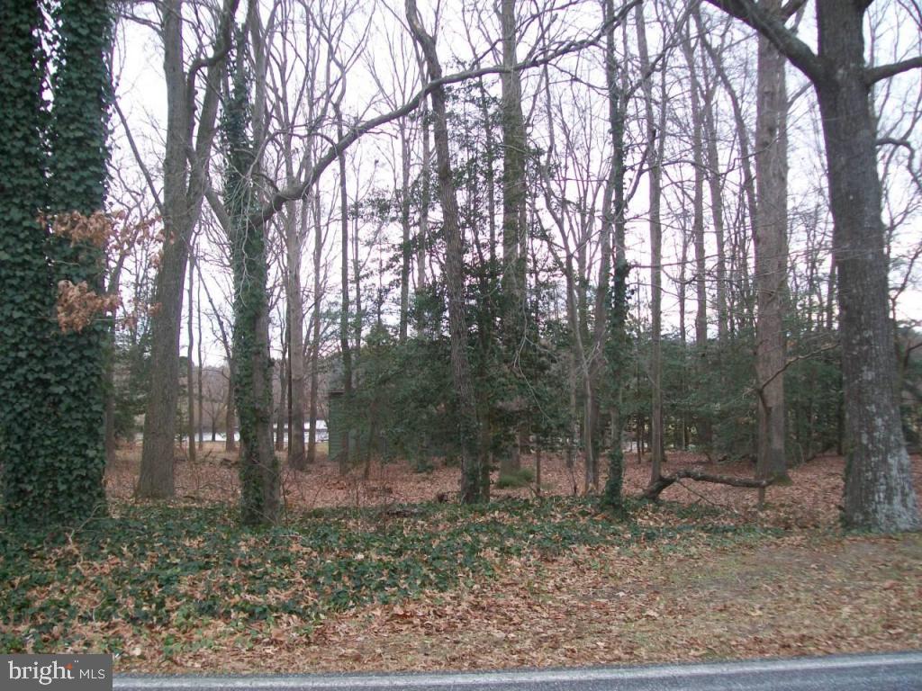 29825 Jackson Road Salisbury, MD 21804 - Photo 24 of 25 Gallery Image 24