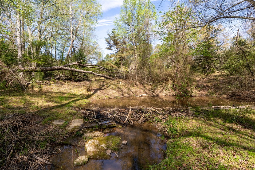 1310 Highway 252 Belton, SC 29627 - Photo 13 of 48