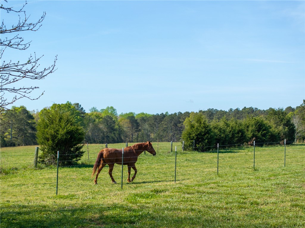 1310 Highway 252 Belton, SC 29627 - Photo 3 of 48