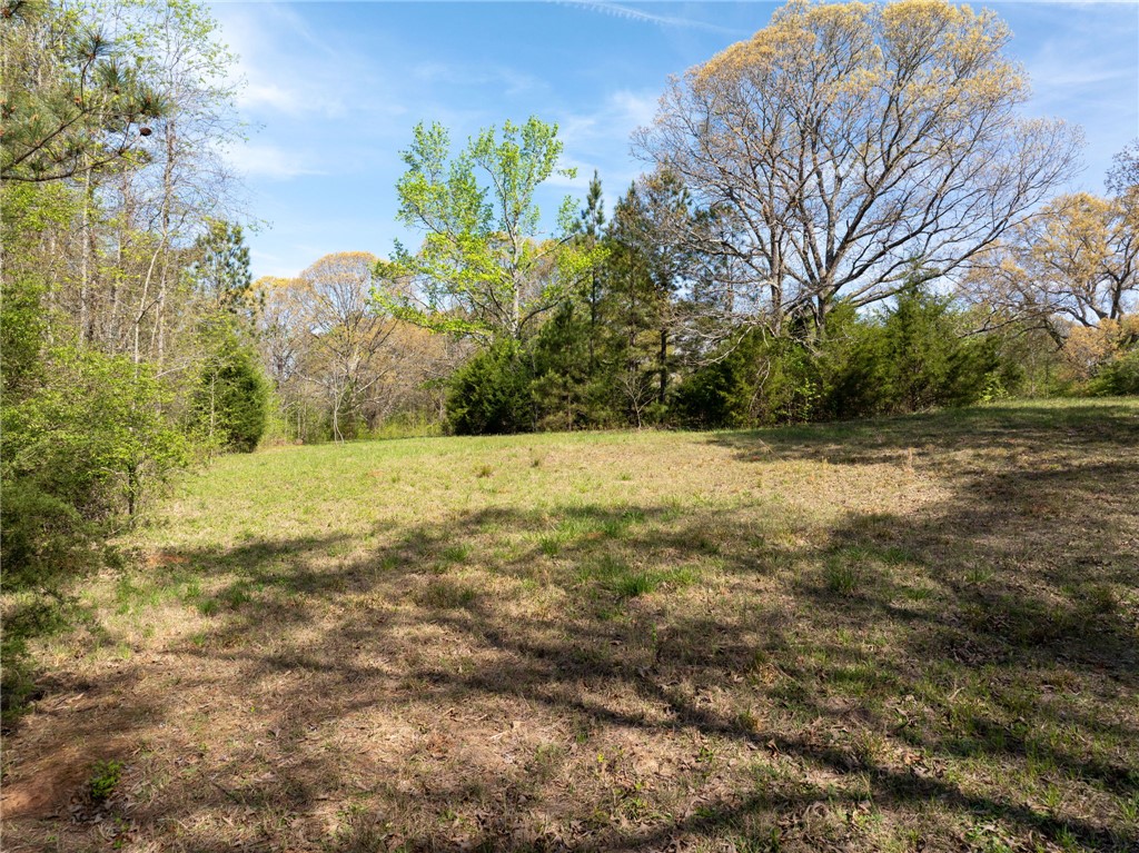 1310 Highway 252 Belton, SC 29627 - Photo 44 of 48
