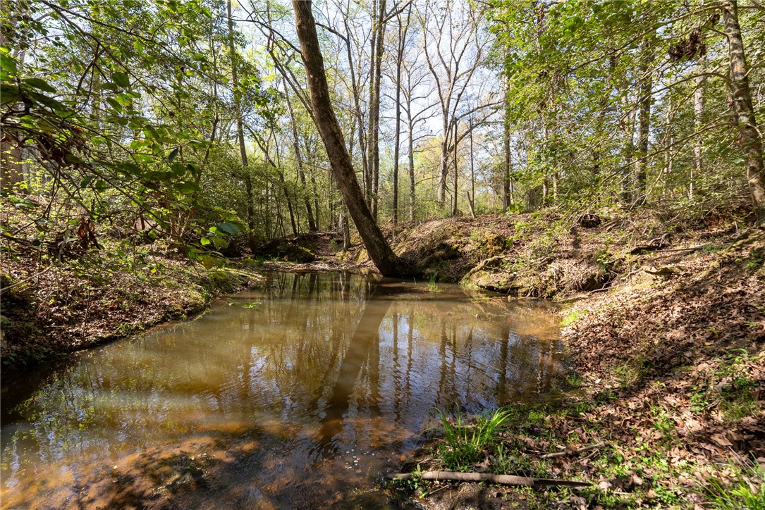 1310 Highway 252 Belton, SC 29627 - Photo 46 of 48