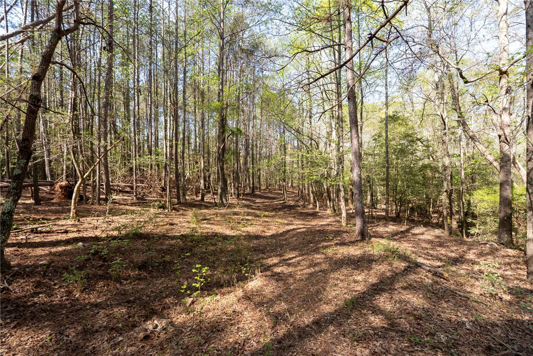 1310 Highway 252 Belton, SC 29627 - Photo 10 of 48