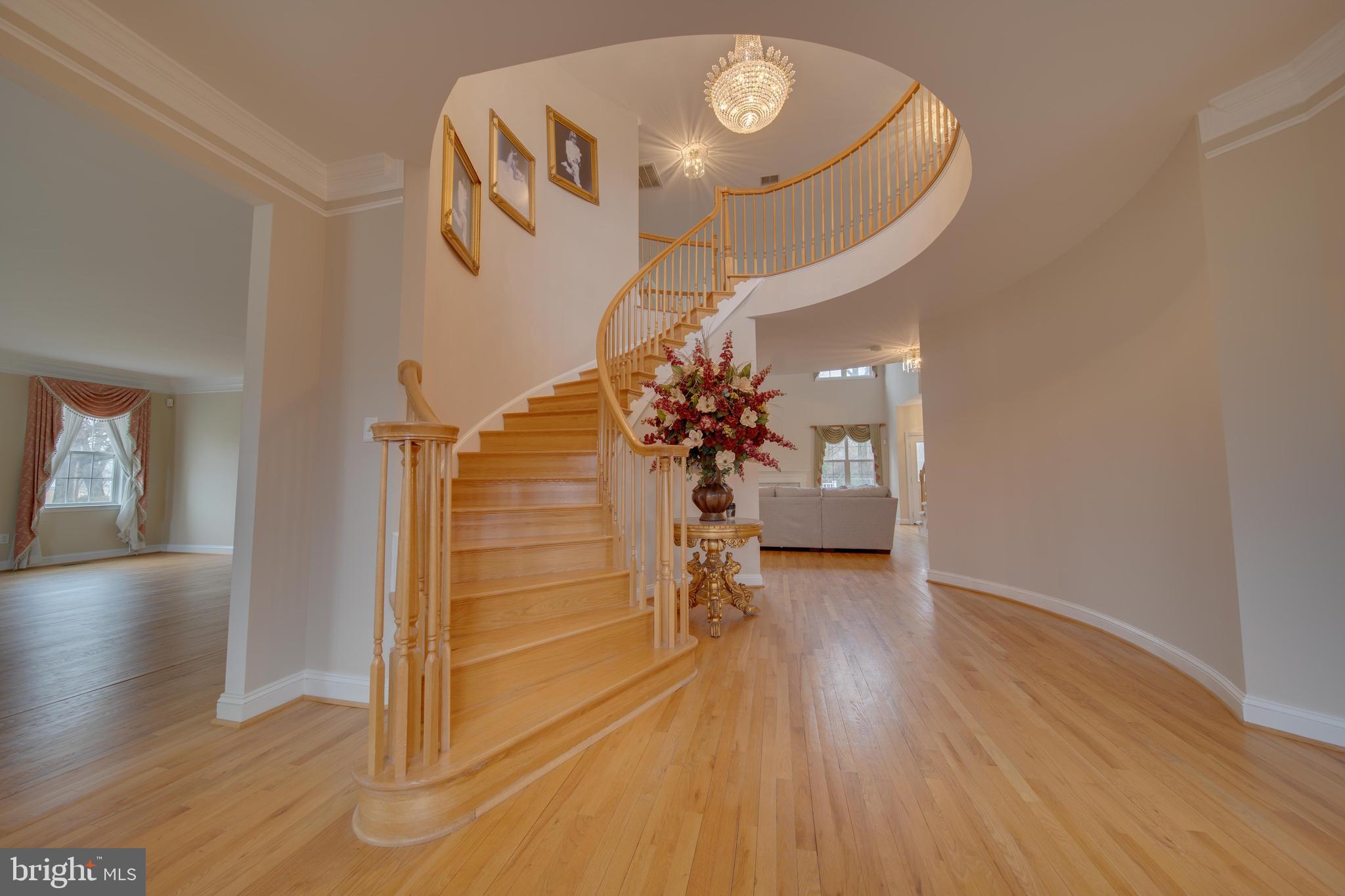 15529 Holly Grove Road Silver Spring, MD 20905 - Photo 5 of 48