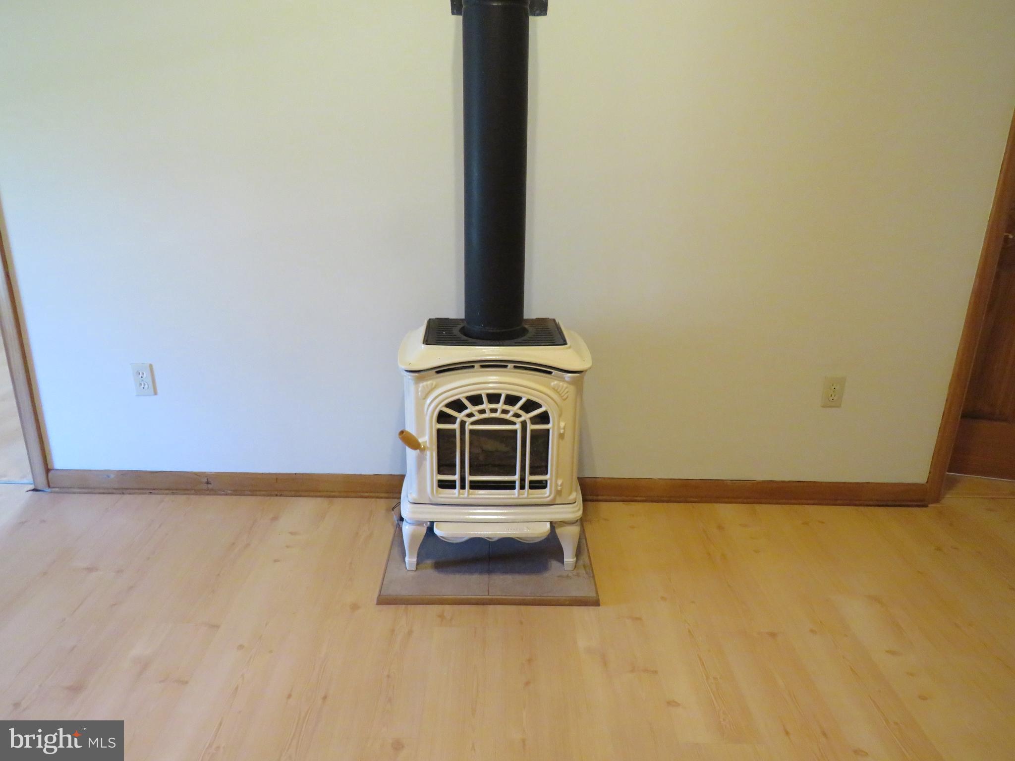 10 Spring Hill Road Perkasie, PA 18944 - Photo 46 of 74 Propane fireplace in Primary bedroom