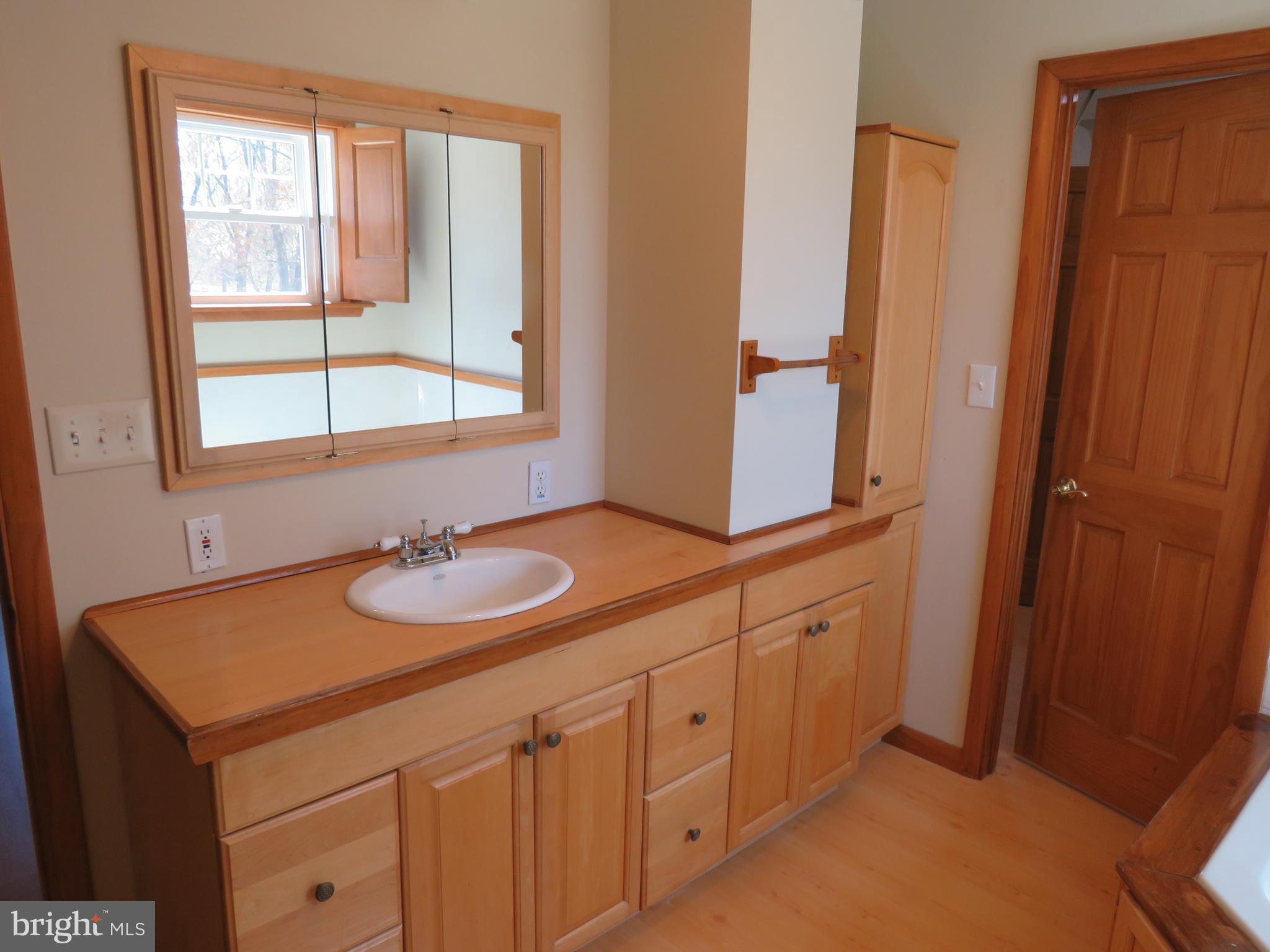 10 Spring Hill Road Perkasie, PA 18944 - Photo 51 of 74 Primary Bathroom